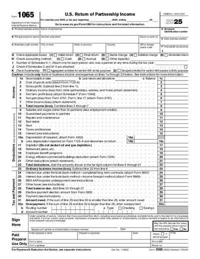 Preview of IRS Form 1065